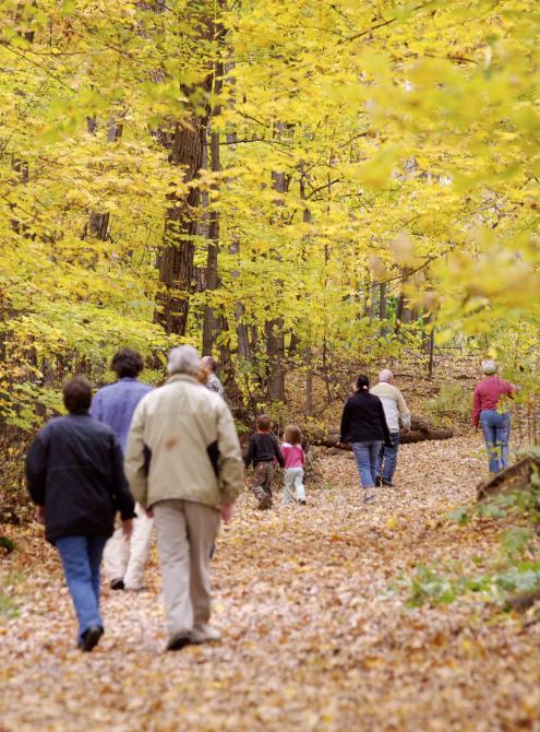 Walk during the foliage at Bois Beckett: