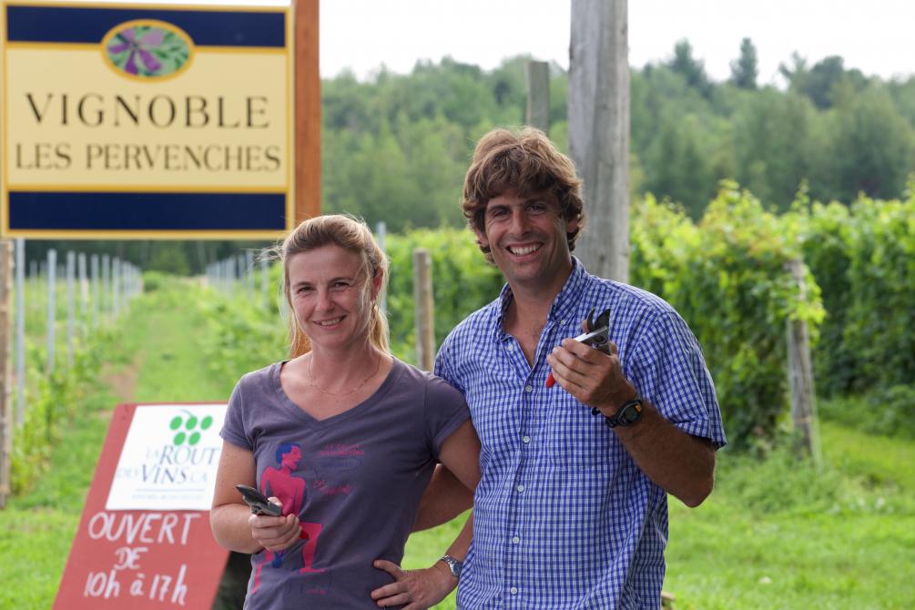 Vignoble Les Pervenches: Farnham, Brome-Missisquoi