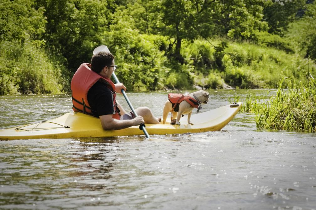 Camping Nature Plein air - Station O'Kataventures: Mansonville, Canton de Potton