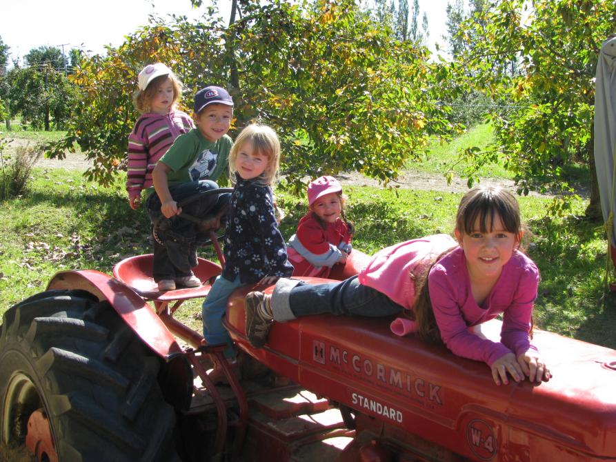 Le Gros Pierre Orchard: Compton