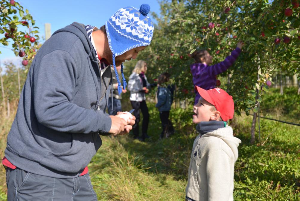 Le Gros Pierre Orchard: Compton