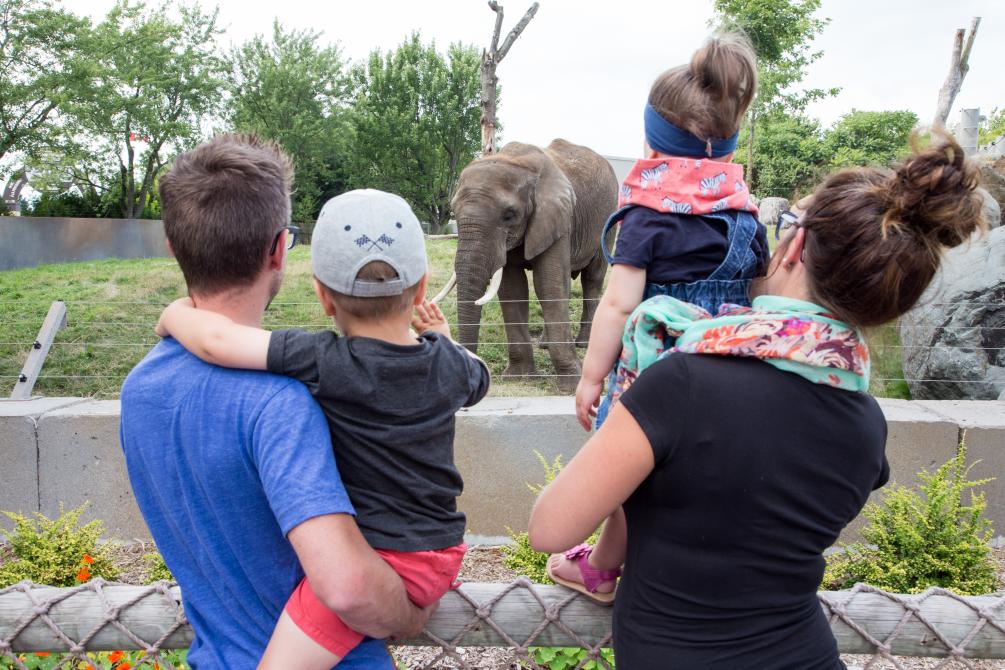 Zoo de Granby: Granby