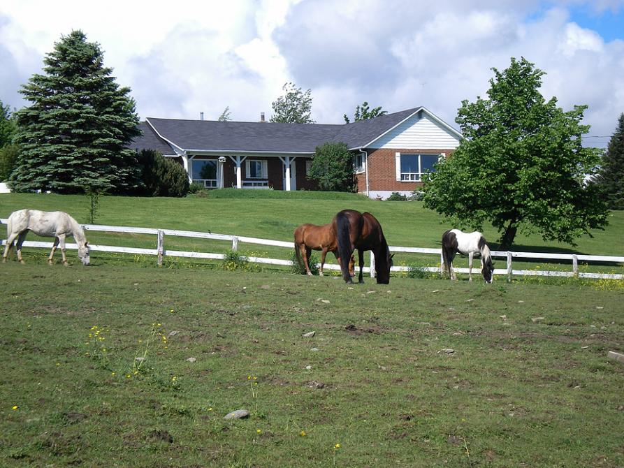 Gîte du Ranch St-Hubert: Saint-Herménégilde, Coaticook region
