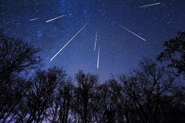 Pluie d'étoiles filantes des Perséides: Notre-Dame-des-Bois