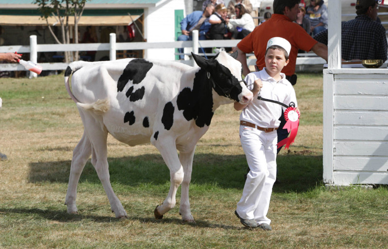 Exposition agricole de la Société d'agriculture du comté de Compton: Compton