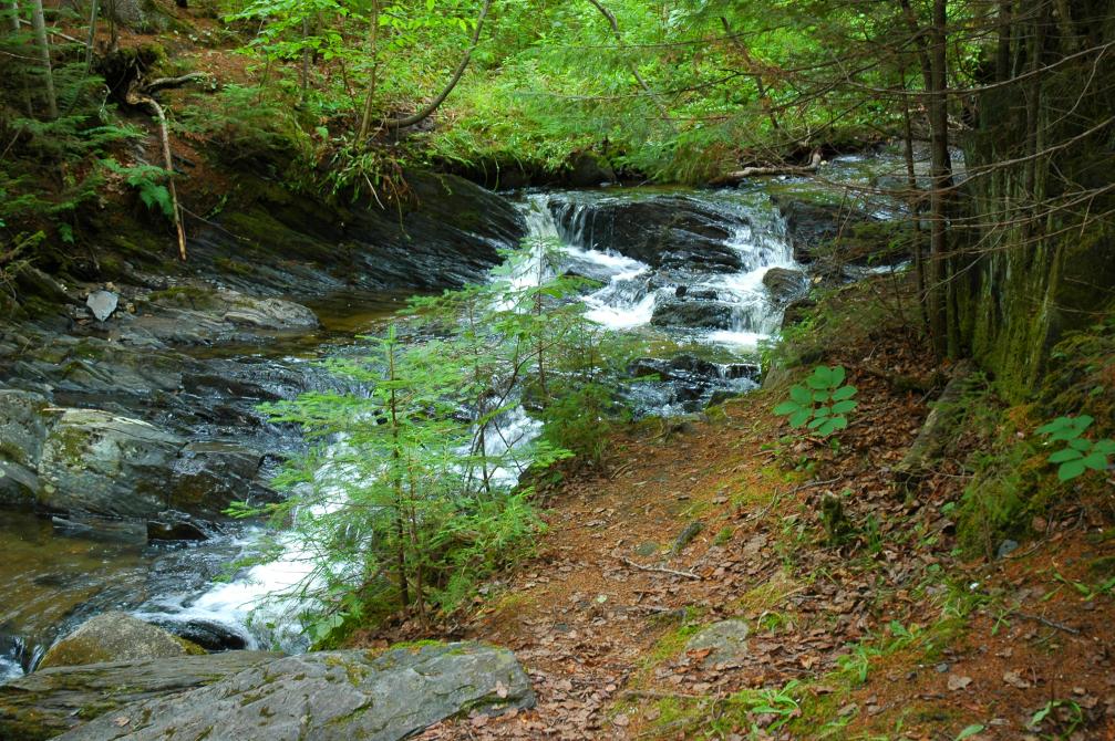 Camping Baie-des-Sables: Lac-Mégantic