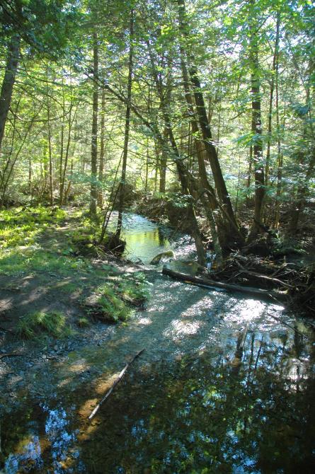 Pedestrian trails: Hiking at Station touristique Baie-des-Sables, Lac-Mégantic