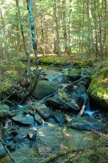 Pedestrian trails: Hiking at Station touristique Baie-des-Sables, Lac-Mégantic