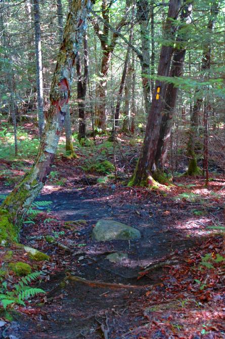 Pedestrian trails: Hiking at Station touristique Baie-des-Sables, Lac-Mégantic