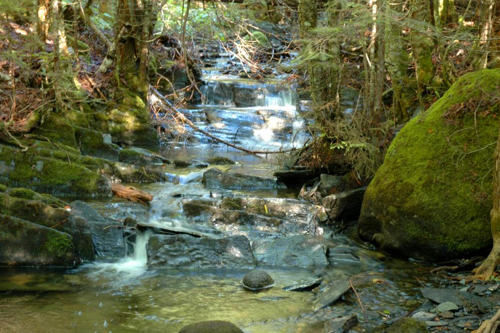 Pedestrian trails: Hiking at Station touristique Baie-des-Sables, Lac-Mégantic