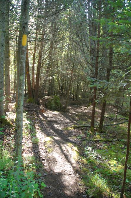 Pedestrian trails: Hiking at Station touristique Baie-des-Sables, Lac-Mégantic