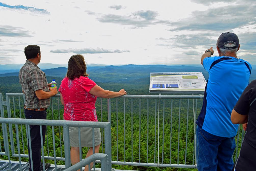 Mont Bélanger summit: Saint-Robert-Bellarmin, Mégantic region
©Marie-Claude Lacombe