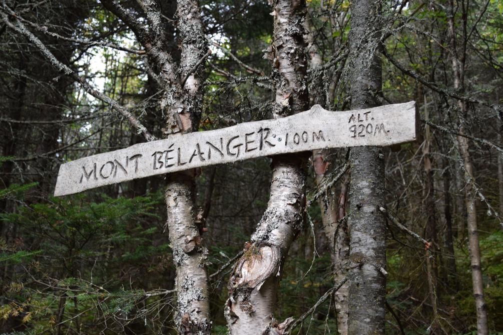 Mont Bélanger summit: Saint-Robert-Bellarmin, Mégantic region
©Marie-Claude Lacombe
