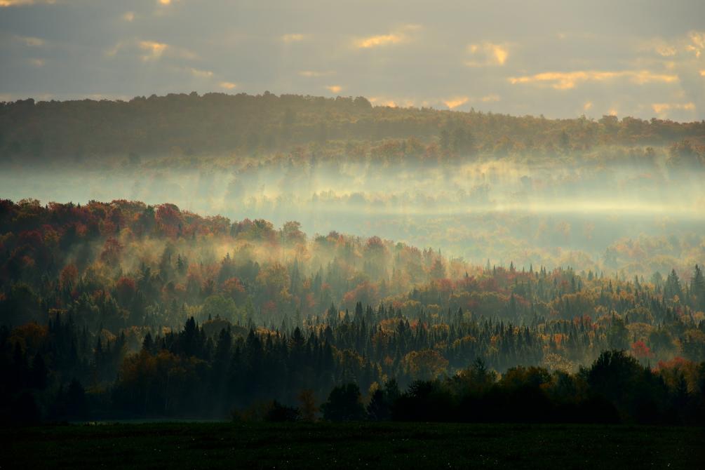 Vue sur le Parc régional du Mont-Ham: Ham-Sud
©Sylvain Laroche