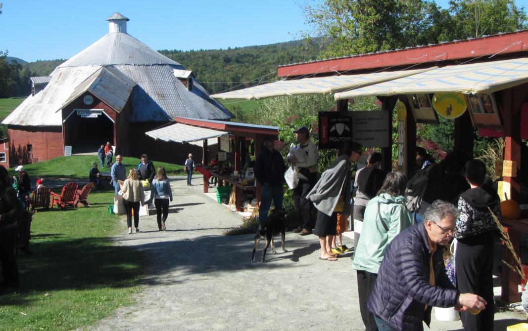 Potton farmers market: Mansonville (Canton de Potton), Memphrémagog region 
