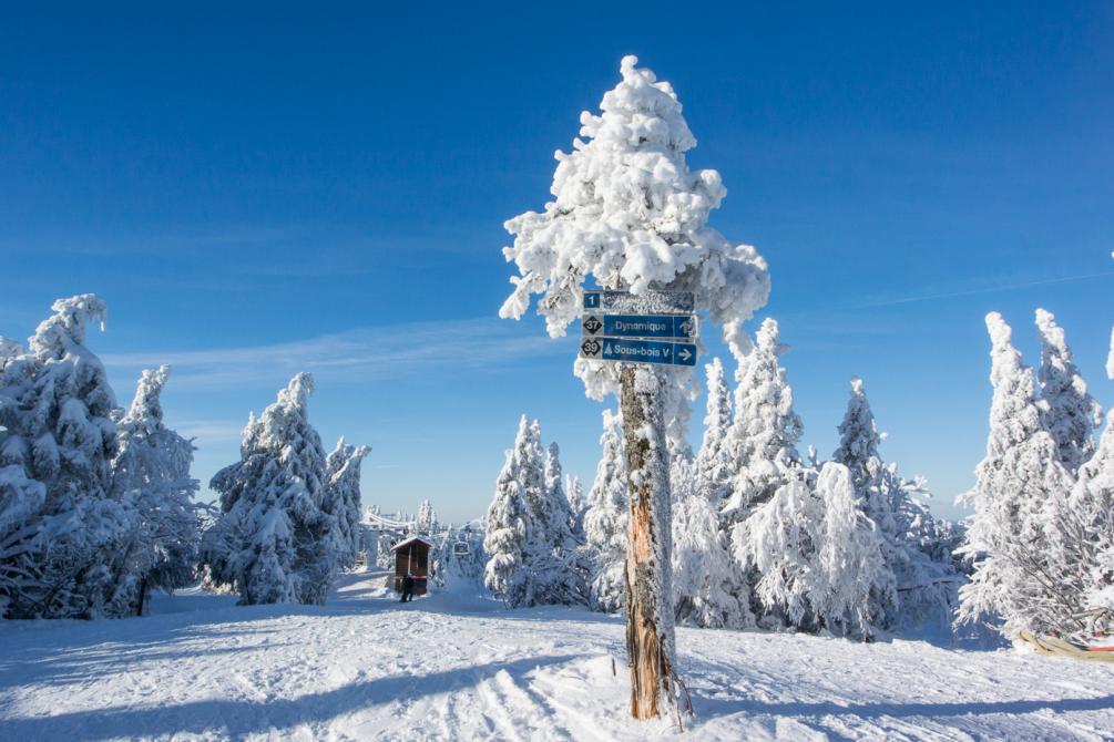 Mont Sutton:
