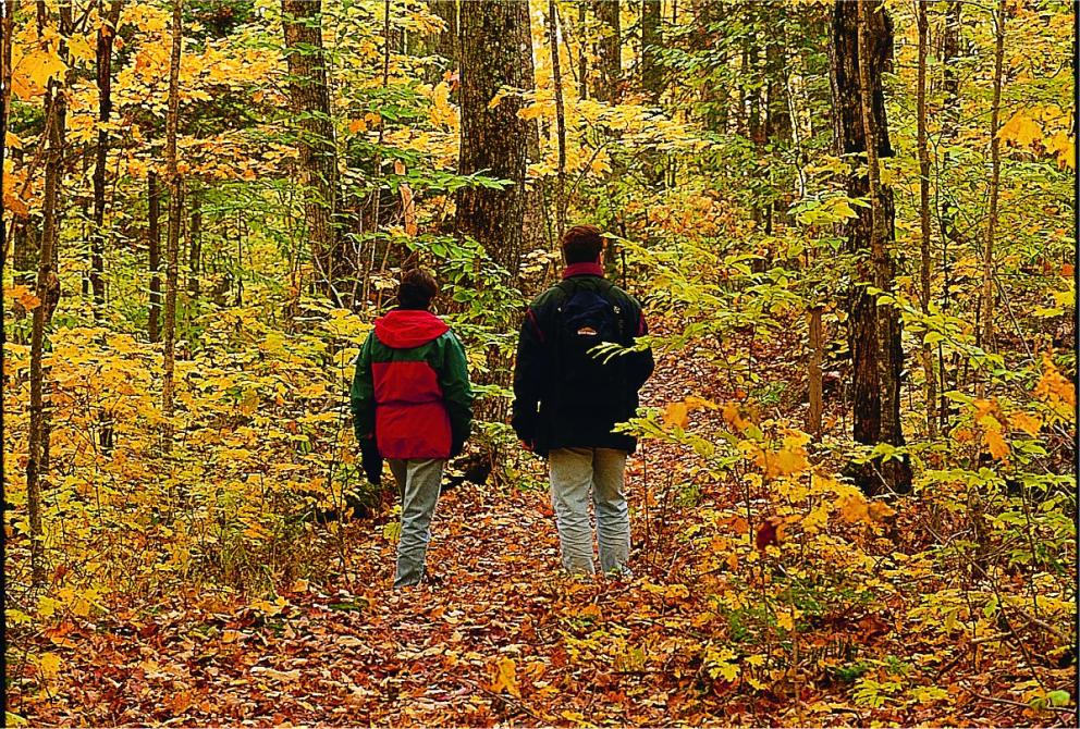 L'Érablière © Claude Ponthieux: Parc national de Frontenac