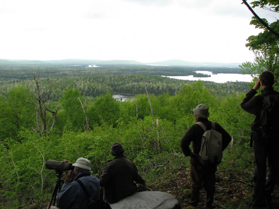 Le Massif de Winslow: Parc national de Frontenac