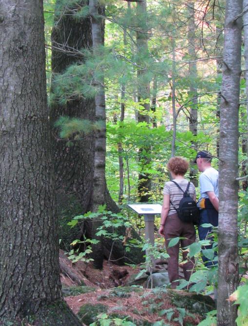 Sentier de l'Étang-Fer-de-Lance © M. Marcoux: Parc national du Mont-Orford