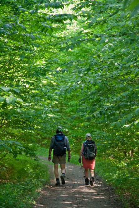 Sentier Découvertes: Réserve naturelle des Montagnes Vertes - secteur Signer