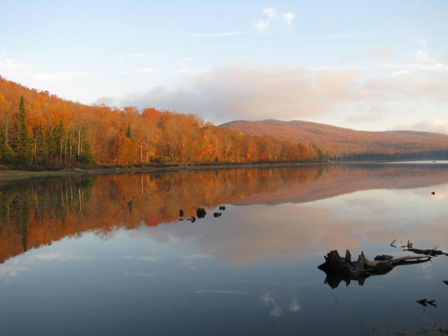 Sentier Étang: Réserve naturelle des Montagnes Vertes - secteur Signer