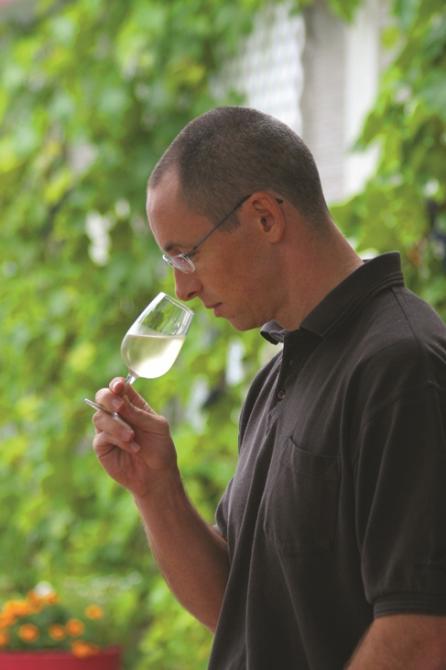 La Halte des Pèlerins: Vineyard, Sherbrooke