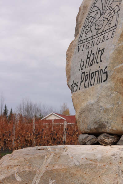 La Halte des Pèlerins: Vineyard, Sherbrooke