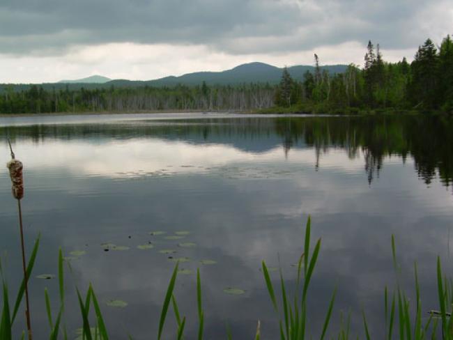 Mont Gosford - Sentier Cap Frontière - 7: Sentiers frontaliers, Megantic region