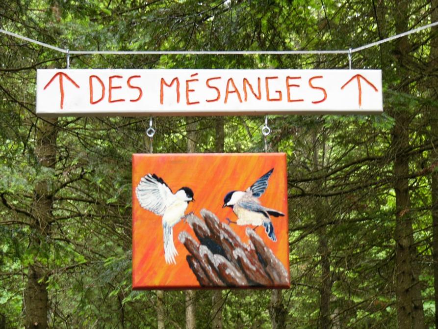 Sentier des Mésanges: Mont Ham