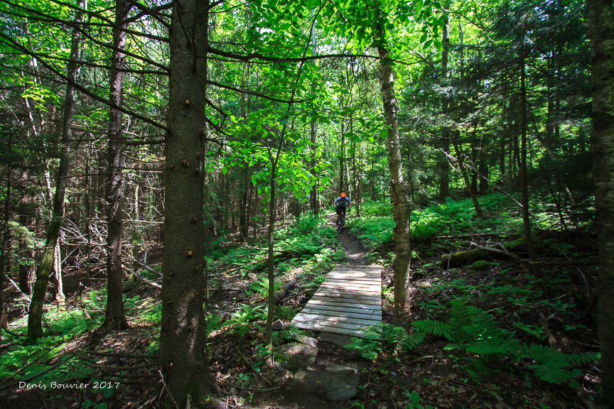 Plein air Sutton MTB: Plein air Sutton MTB Photo of Denis Bouvier, 2017.
