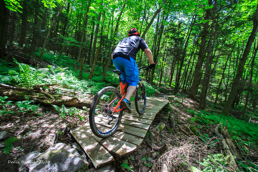 Plein air Sutton MTB: Plein air Sutton MTB -Photo of Denis Bouvier, 2017.