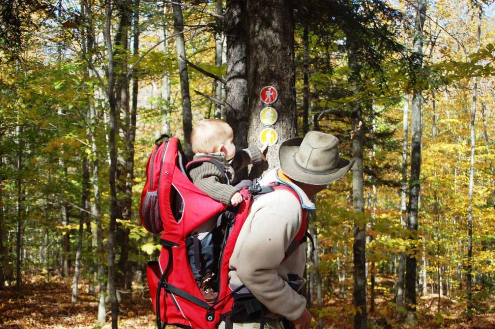 AuDiableVert-Du Ruisseau trail: Sutton