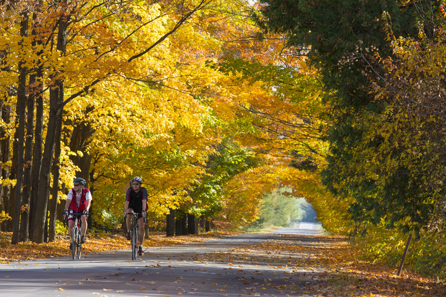 A ride on the Wine route: A ride on the Wine route  Photo : Jean-François Bergeron