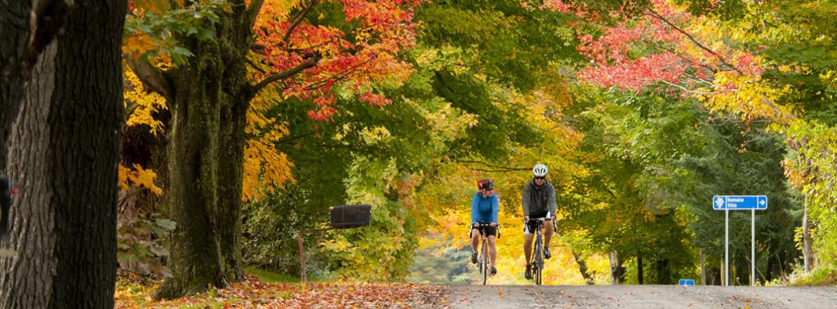 A ride on the Wine route: A ride on the Wine route  Photo : Jean-François Bergeron