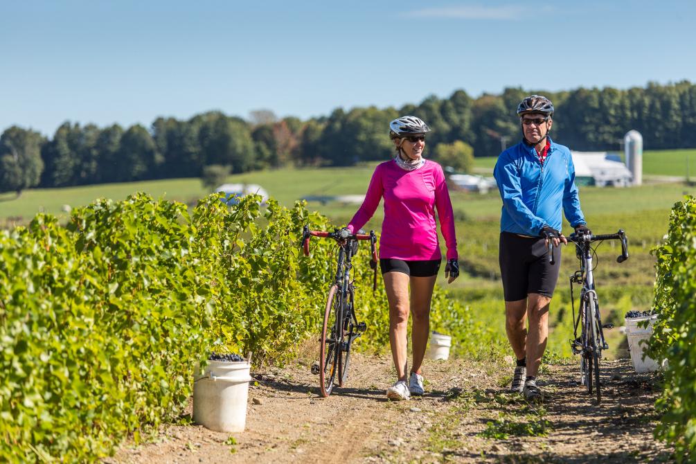 A ride on the Wine route: A ride on the Wine route. Photo : Mathieu Dupuis