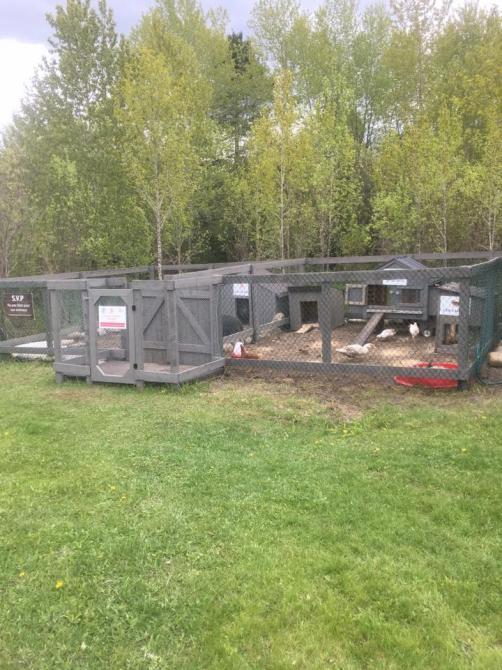 Camping, chalets et spas des Pignons Rouges: Saint-Romain