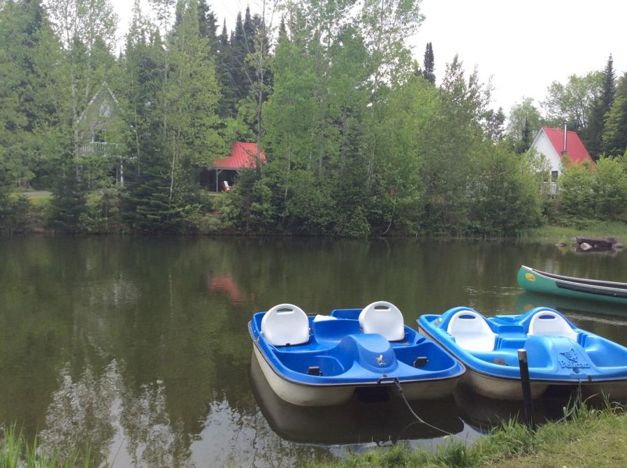 Camping, chalets et spas des Pignons Rouges: Saint-Romain