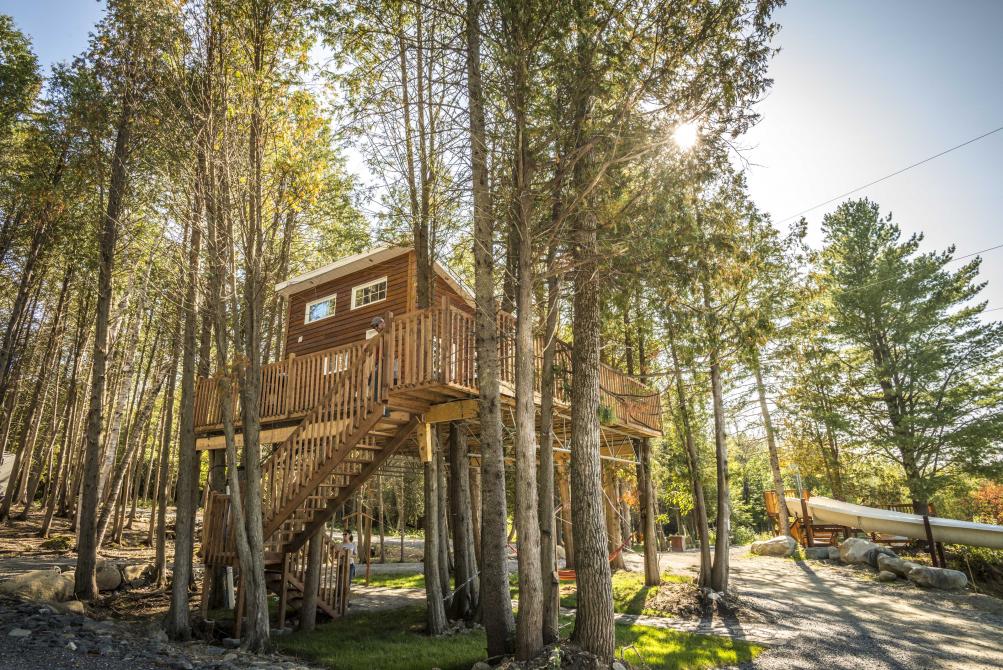 Cabania: 
Mini house in the trees for an unforgettable experience whether in winter or summer (4 seasons)!