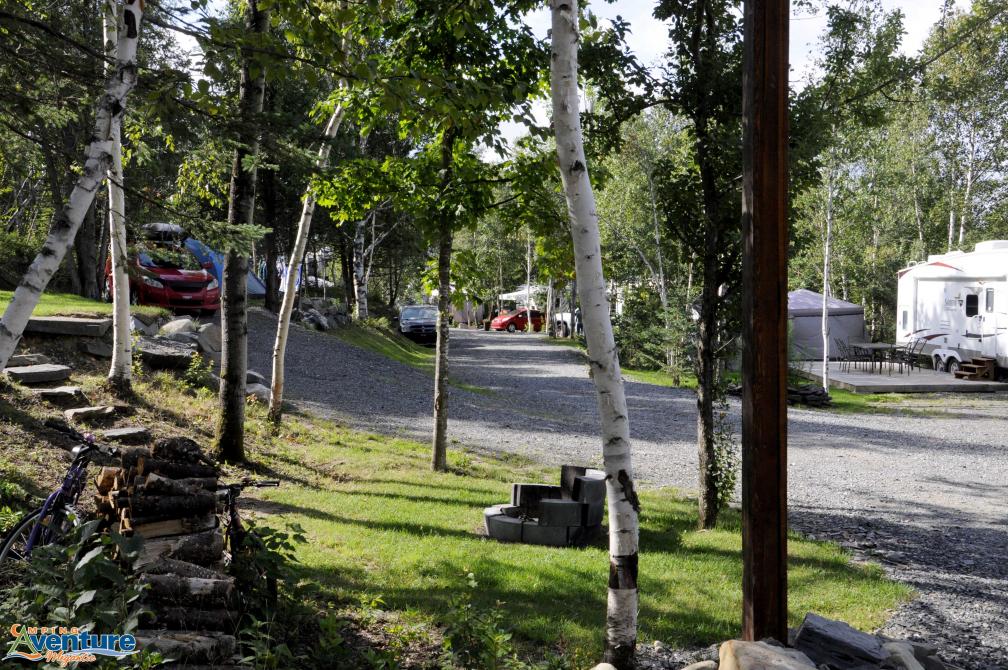 Site: Diversified site
