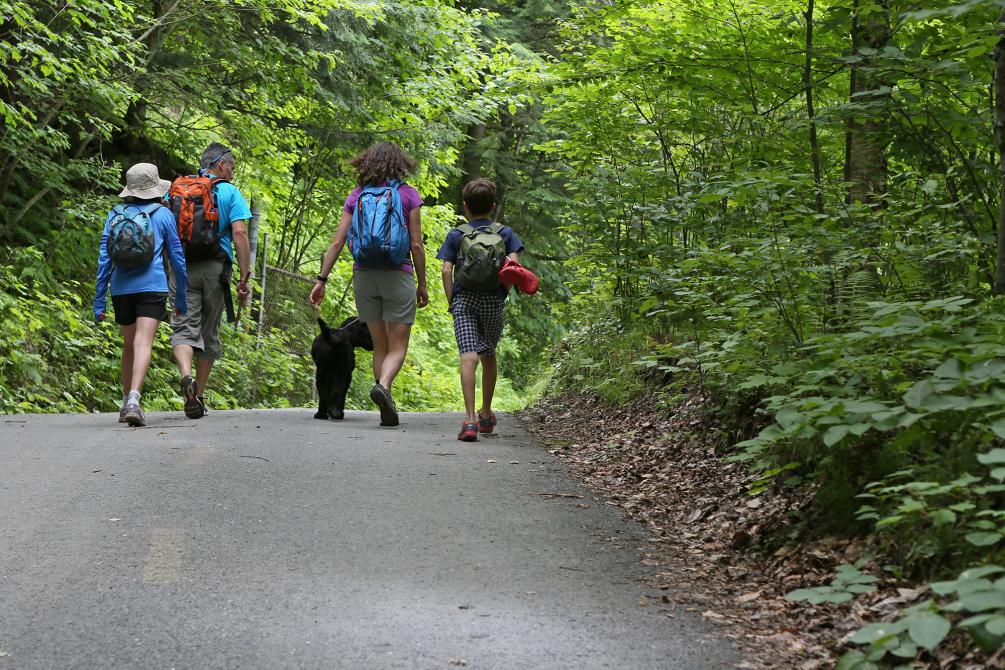 Parc de la Gorge de Coaticook: Coaticook