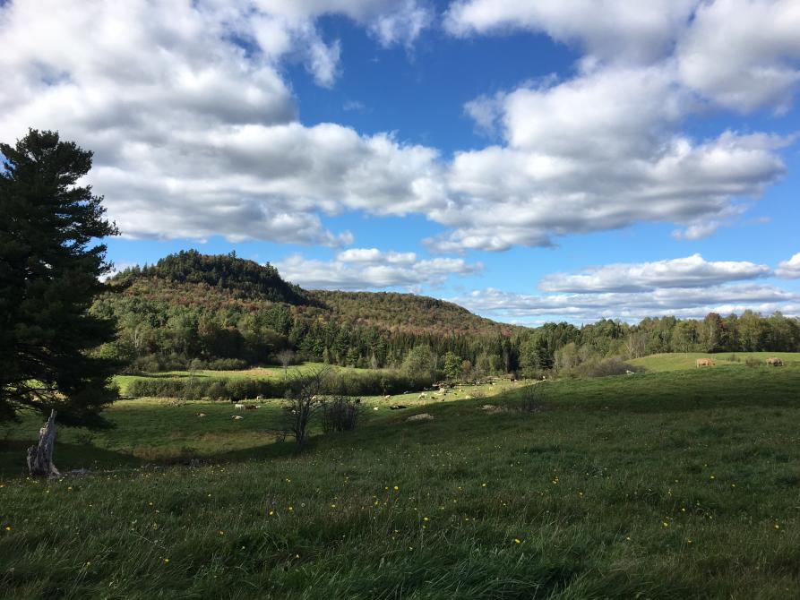Circuit de l'Abbaye Long hike route SaintBenoîtduLac Eastern