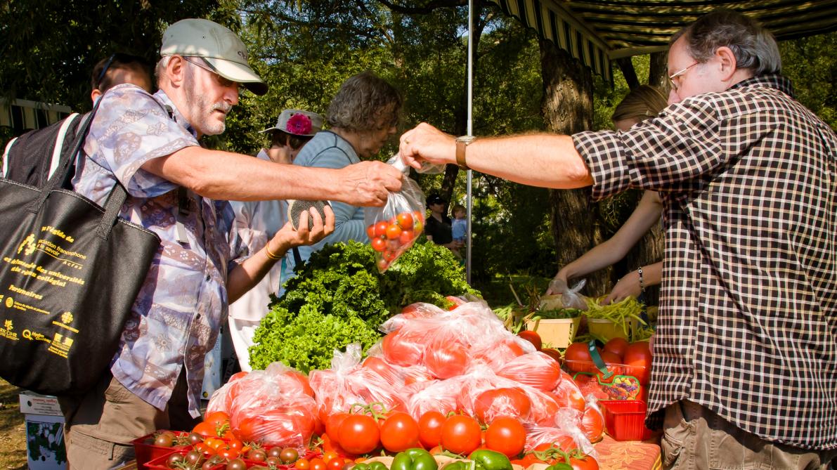 North Hatley’s Farmers’ Market: Photo : Association des commerçants de North Hatley