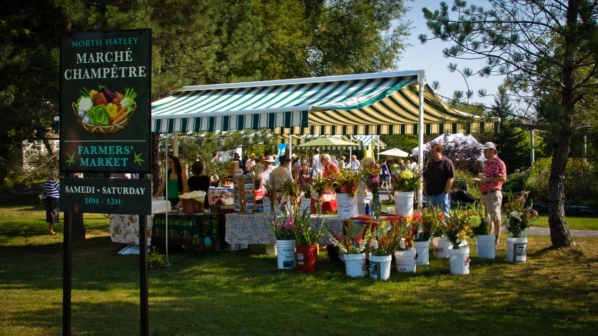 North Hatley’s Farmers’ Market: Photo : Association des commerçants de North Hatley