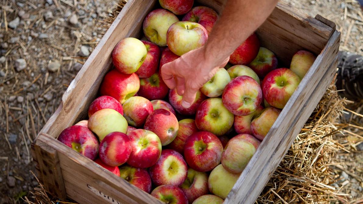 Festival d'automne du Mont Sutton: