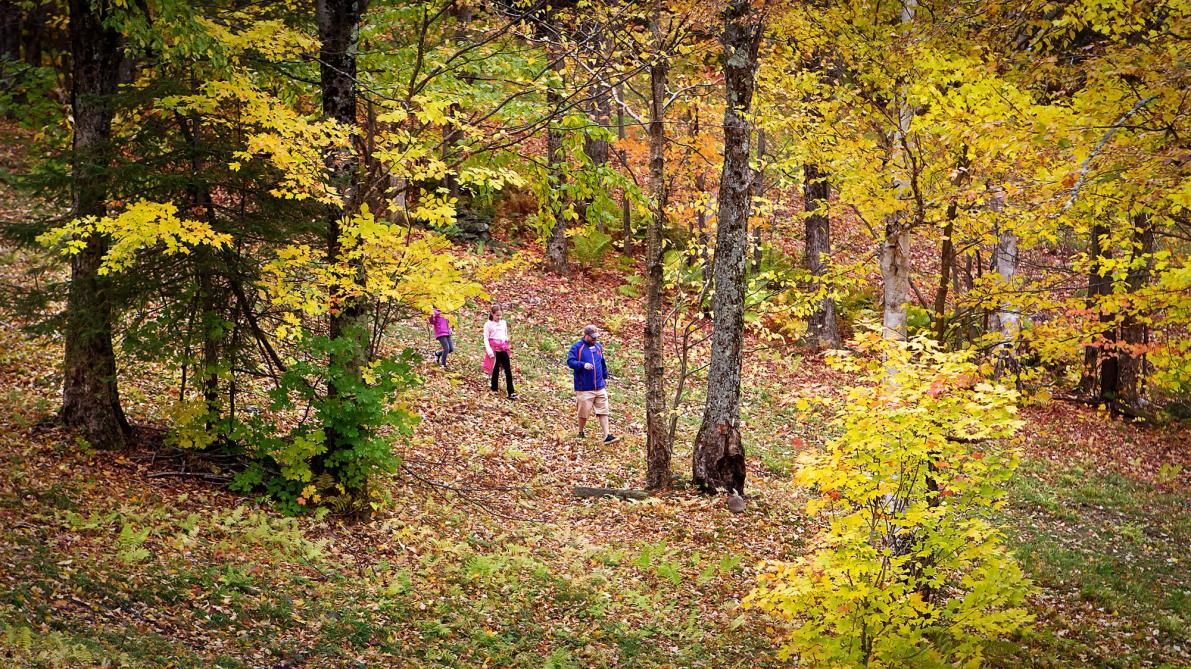 Festival d'automne du Mont Sutton: