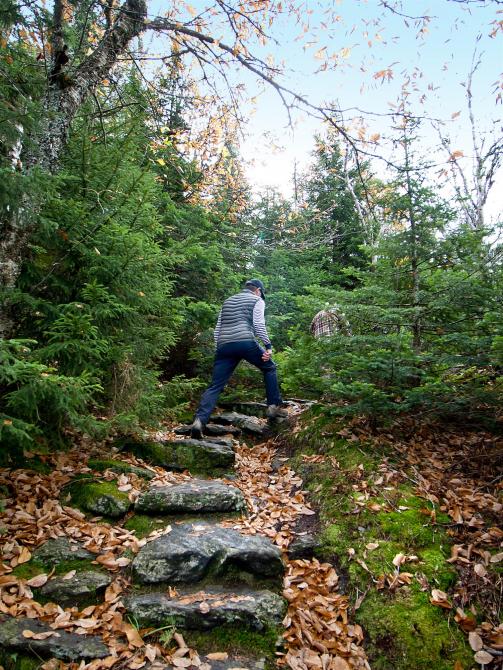 Festival d'automne du Mont Sutton: