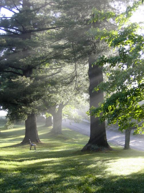 Circuits patrimoniaux de Sutton: