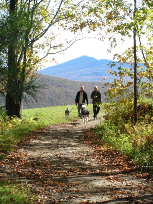 Au Diable Vert « Station de montagne »: Sutton