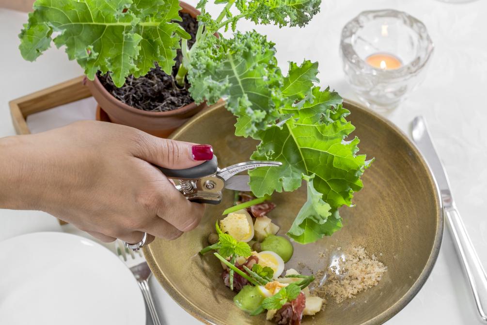 Manoir Hovey - Le Hatley: North Hatley