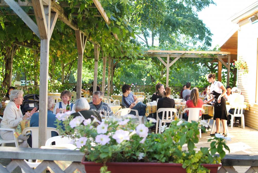 Vignoble de l'Orpailleur - ÉCONOMUSÉE de la Vigne et du Vin: Dunham